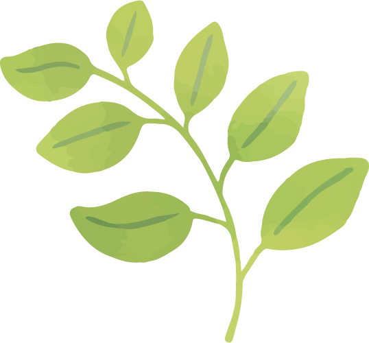 leaf*